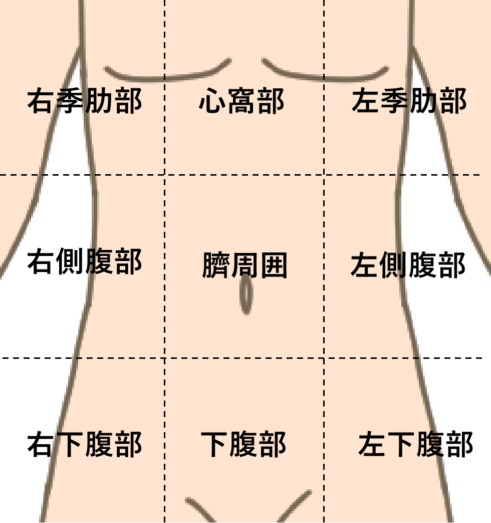 腹痛の部位